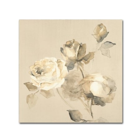 Wild Apple Portfolio 'Rose Blossoms Crop' Canvas Art,24x24